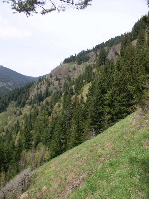 4.30.06 Hamilton Mountain 050 